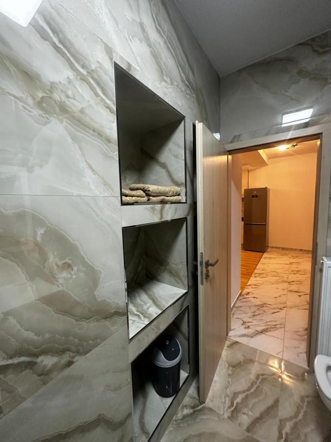Emanuela Apartments Pecica Екстериор снимка