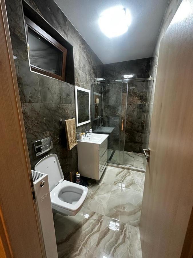 Emanuela Apartments Pecica Екстериор снимка