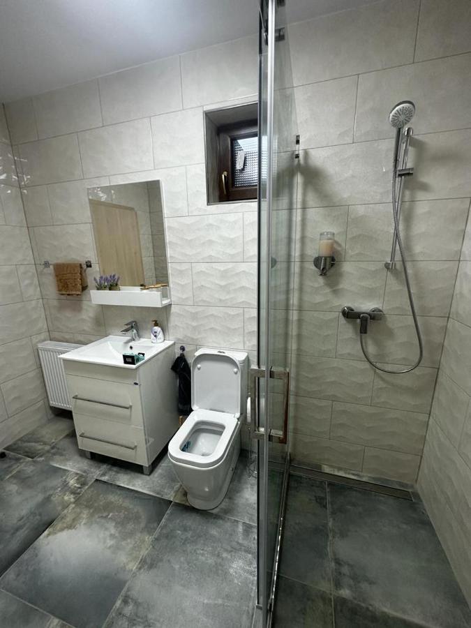 Emanuela Apartments Pecica Екстериор снимка