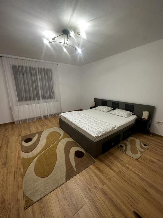 Emanuela Apartments Pecica Екстериор снимка