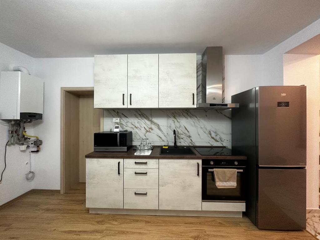 Emanuela Apartments Pecica Екстериор снимка