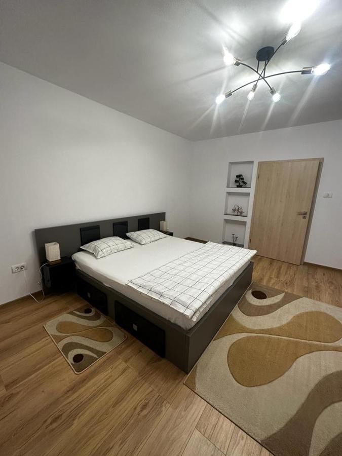 Emanuela Apartments Pecica Екстериор снимка