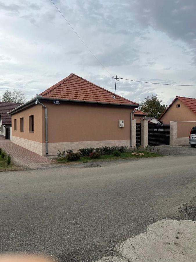 Emanuela Apartments Pecica Екстериор снимка