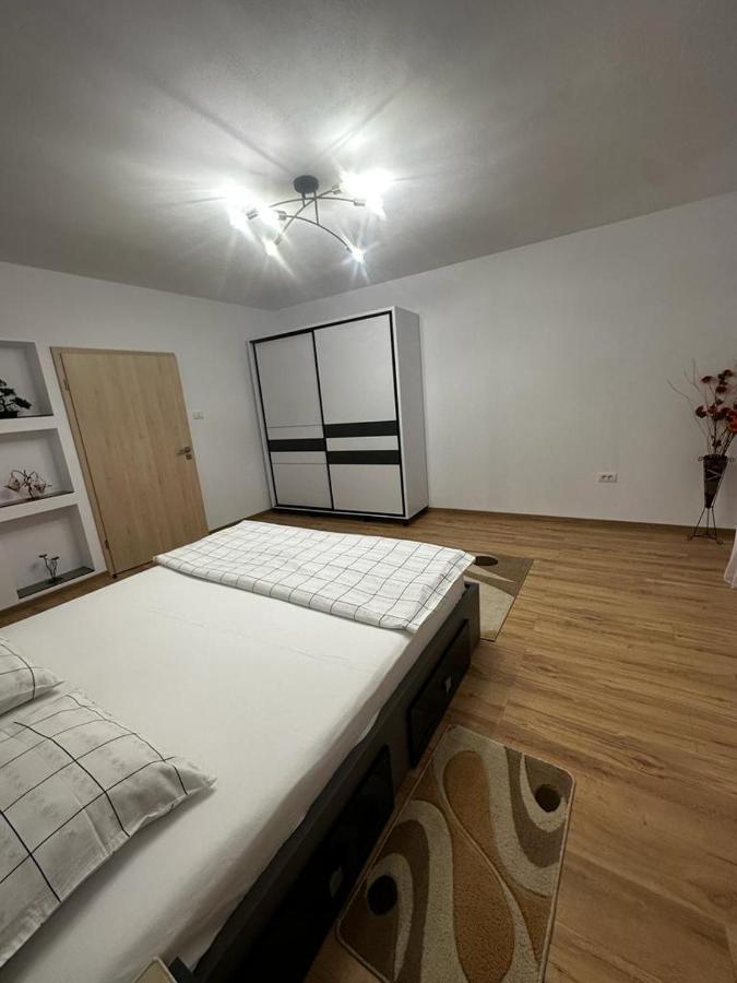 Emanuela Apartments Pecica Екстериор снимка