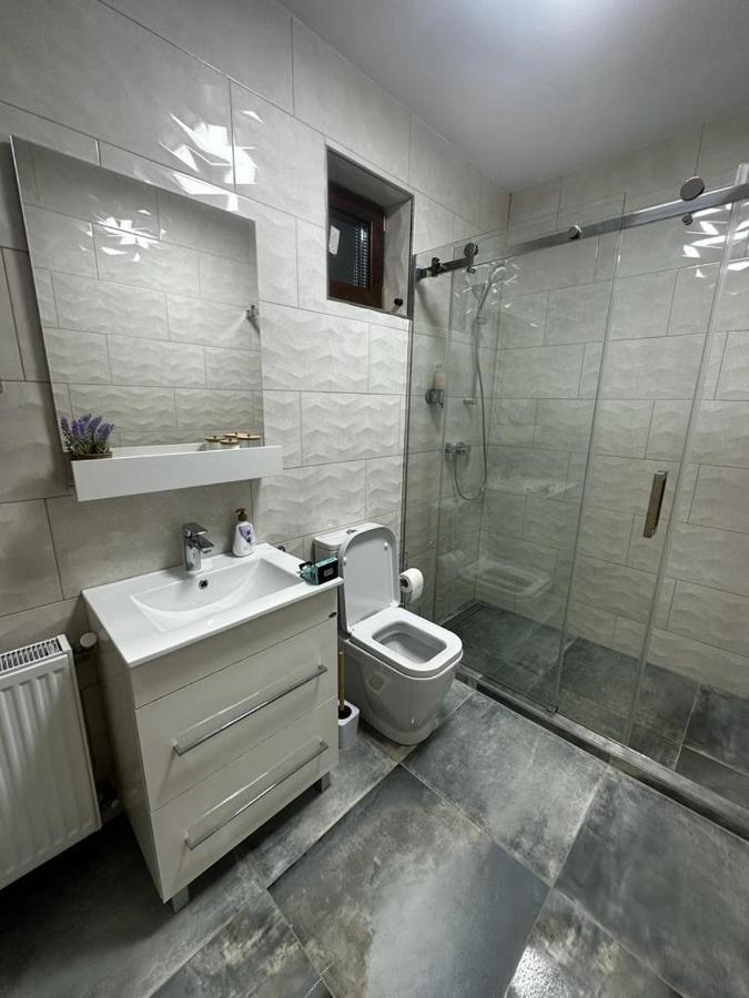 Emanuela Apartments Pecica Екстериор снимка