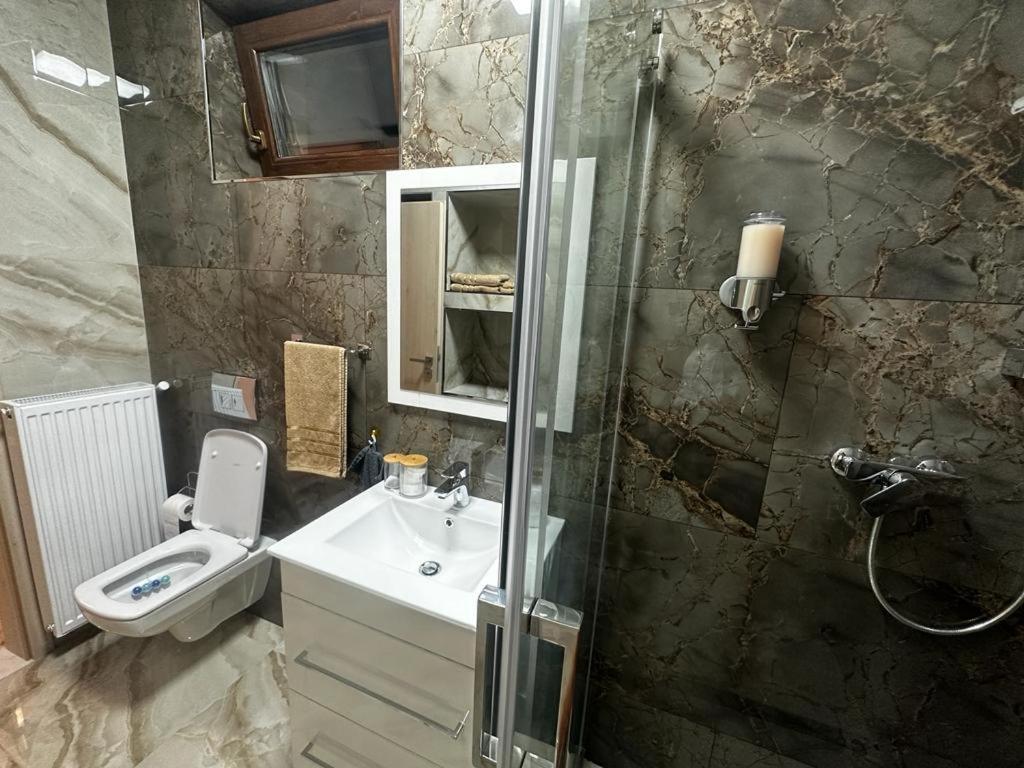 Emanuela Apartments Pecica Екстериор снимка
